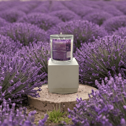 Into The Nights- A  Tuscan Lavender Scented Candle